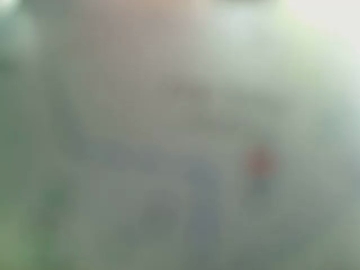Strolchibaer  30-07-2021